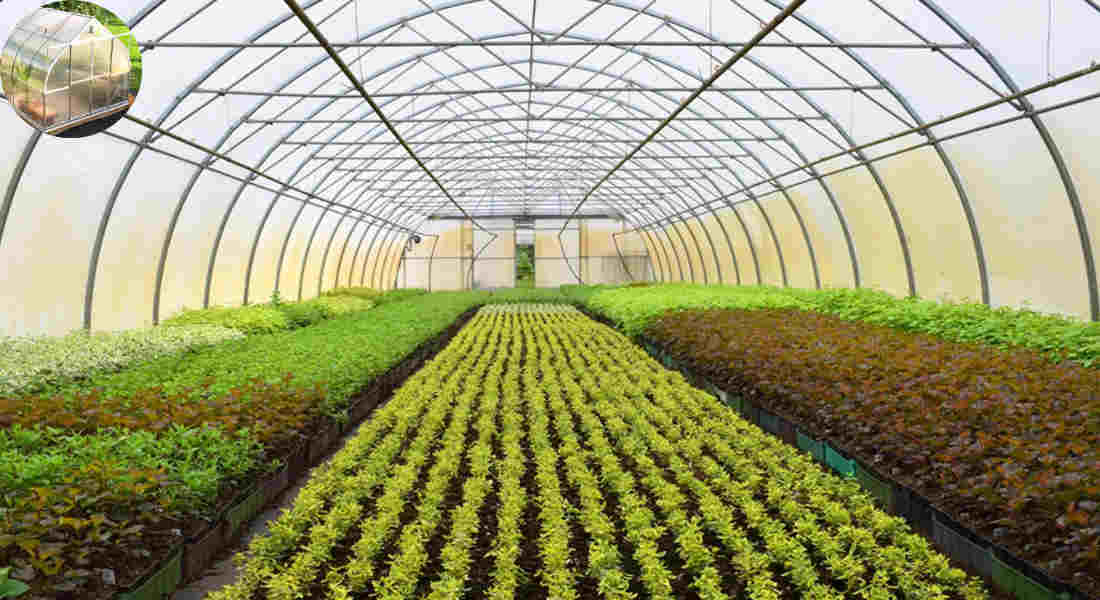 how does a green house work