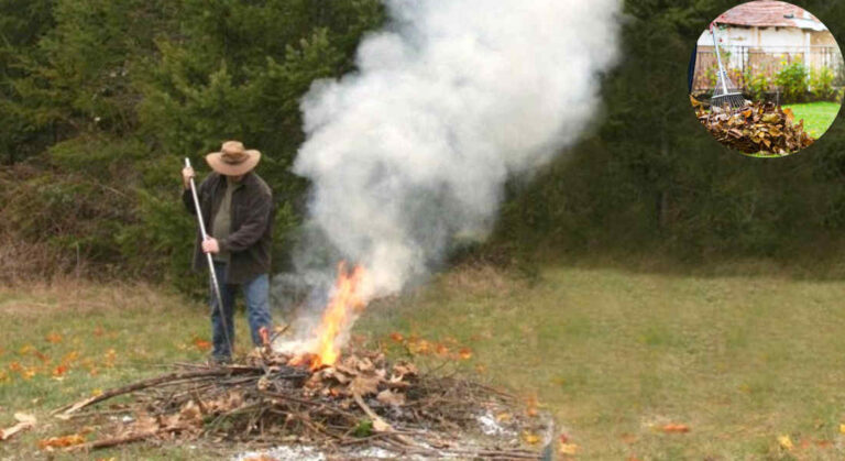 can you burn garden waste in your house garden