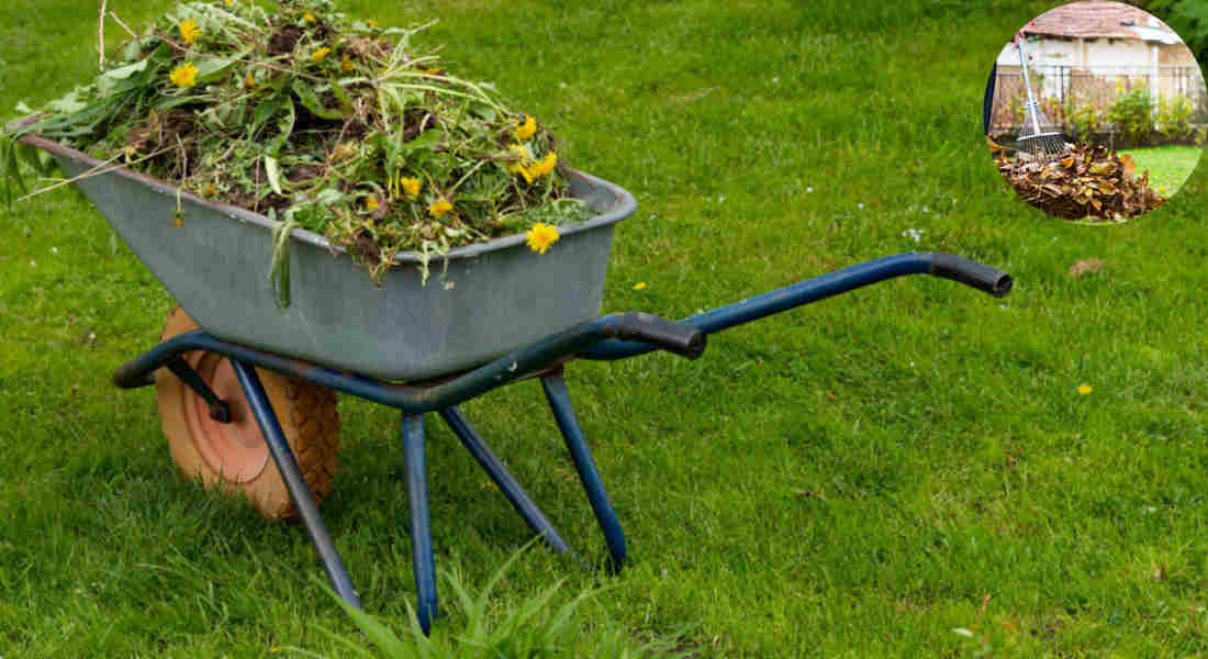 can you burn garden waste in your house garden