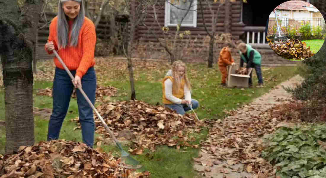 can you burn garden waste in your house garden