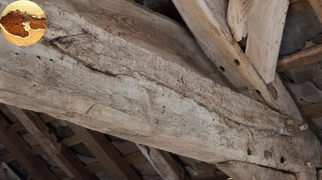 is woodworm covered by house insurance