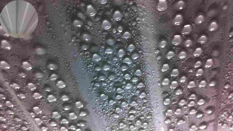 how to stop condensation in house garage roof