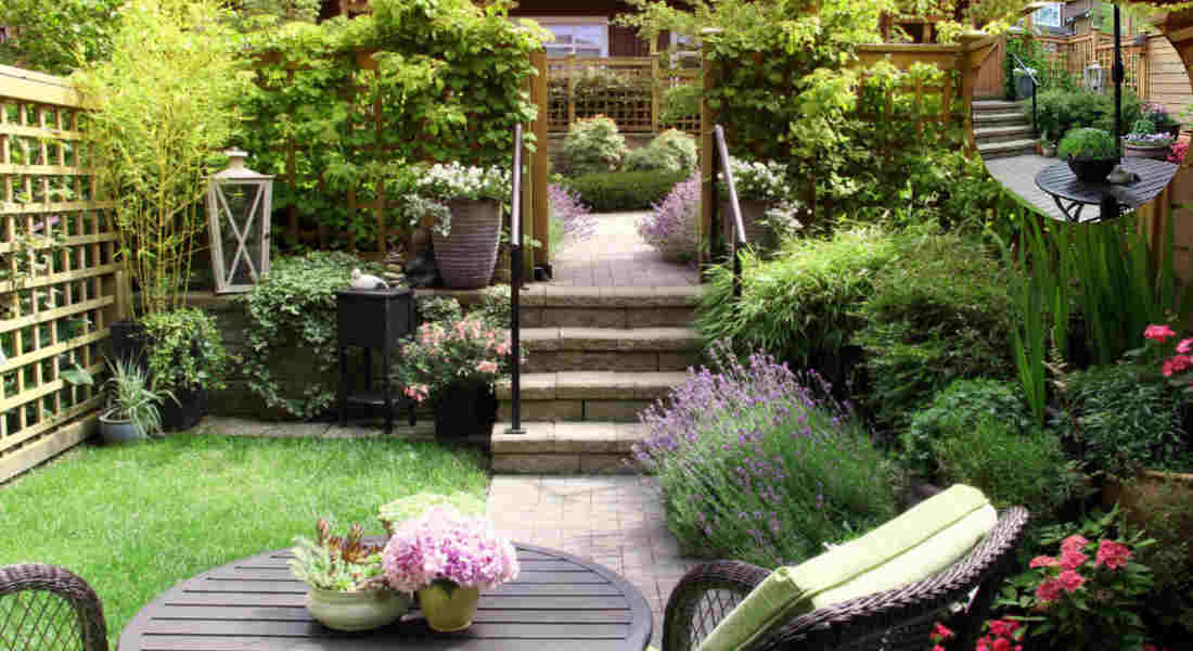how to home garden when you're new to gardening
