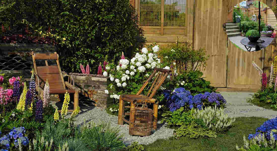how to home garden when you're new to gardening