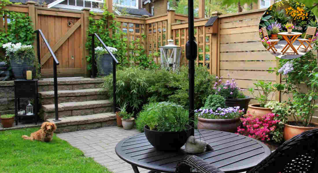 how to home garden when you're new to gardening