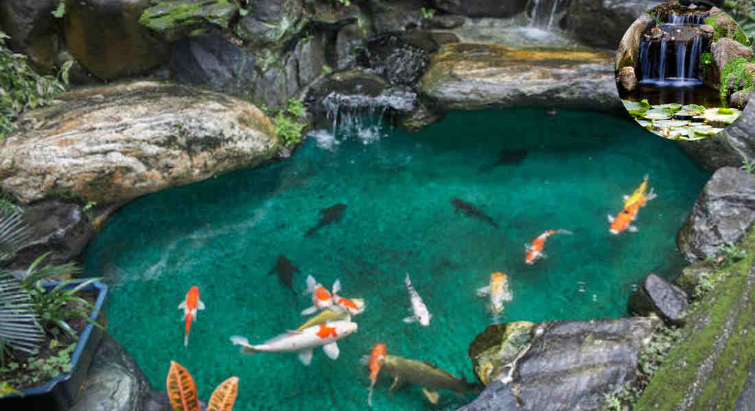 how to build a home garden pond with waterfall uk