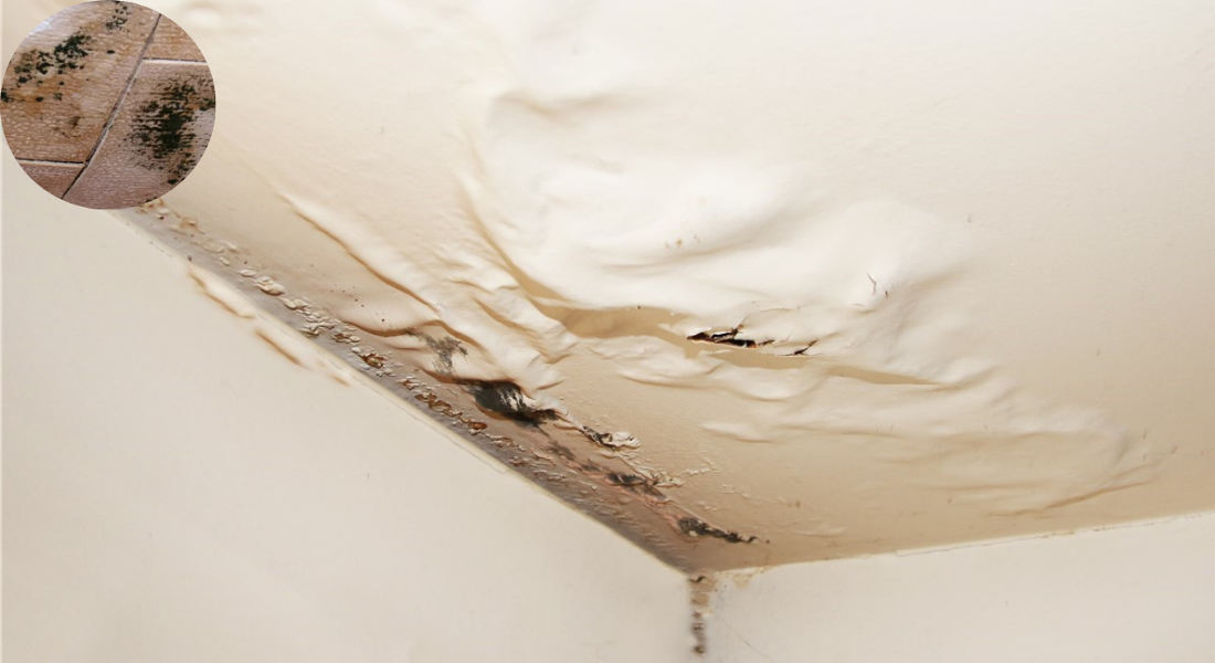 will a leak in the house roof cause mold