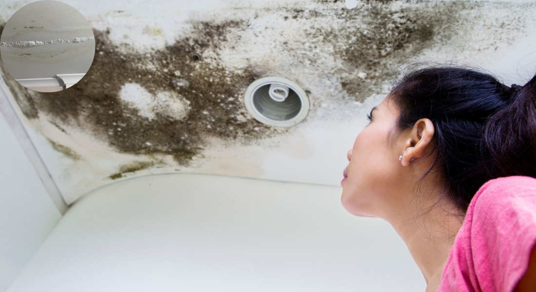 will a leak in the house roof cause mold
