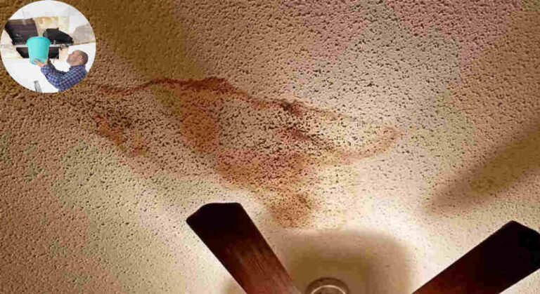 will a leak in the house roof cause mold