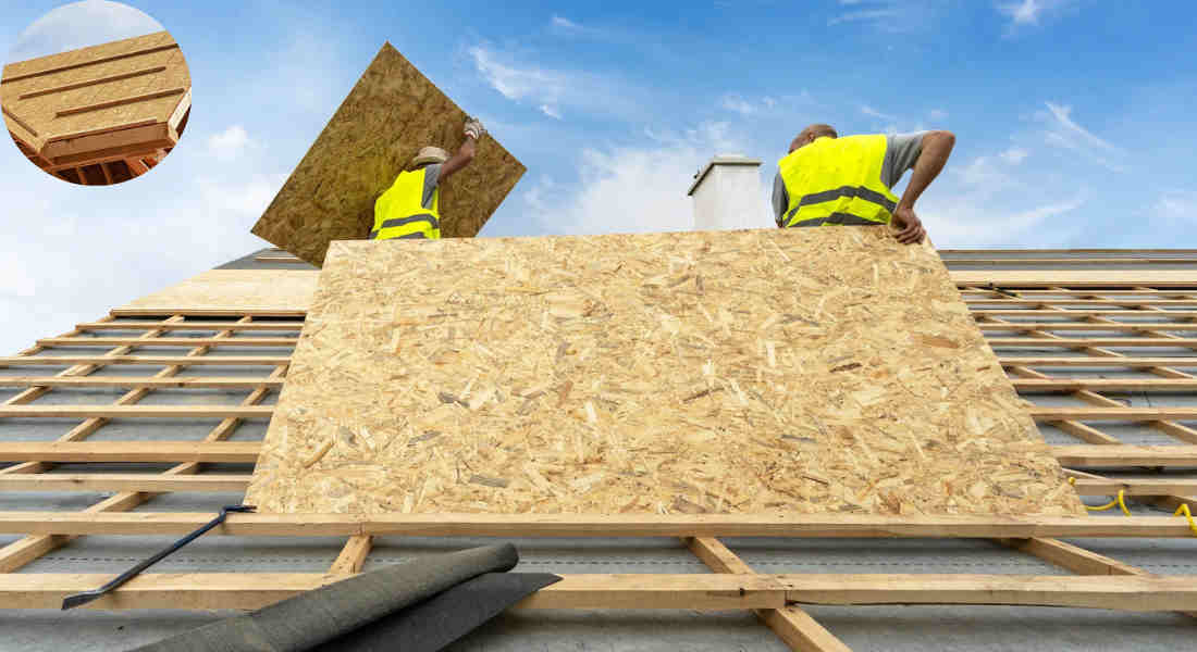 what kind of plywood for house roof