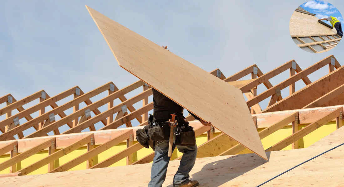 what kind of plywood for house roof